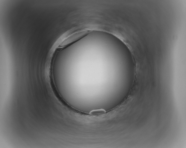 X0000110920007200906251427