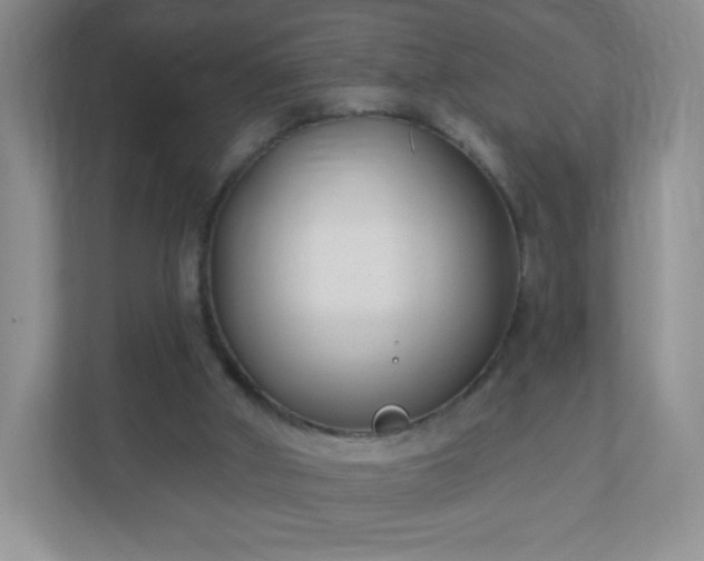 X0000110920010200906251427