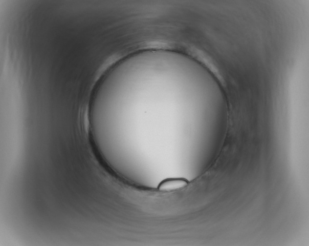 X0000110920011200906251427