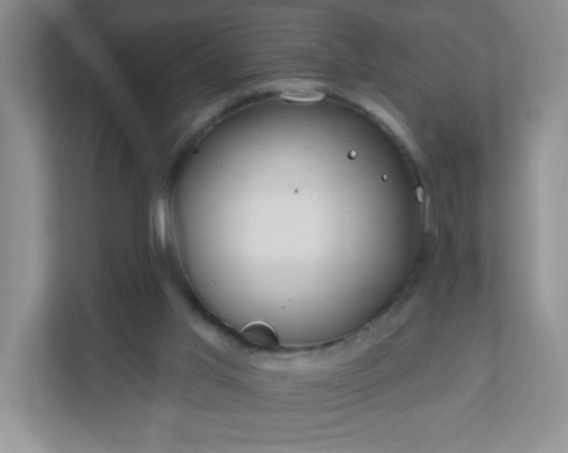 X0000110920013200906251427