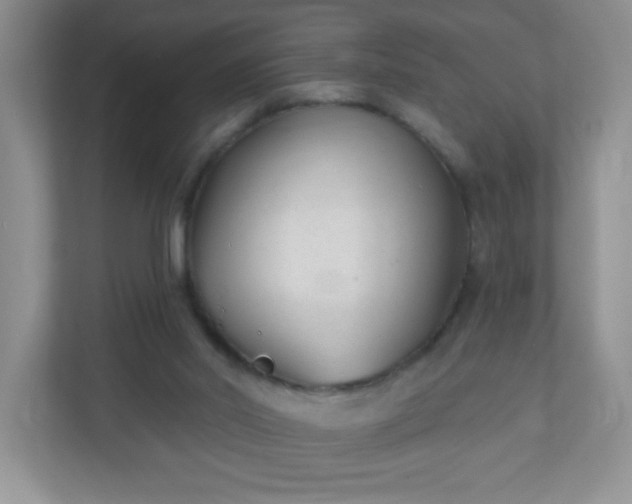 X0000110920014200906251427