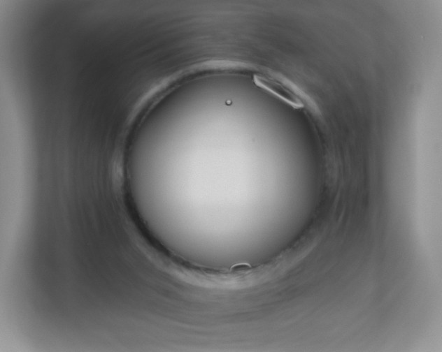X0000110920015200906251427