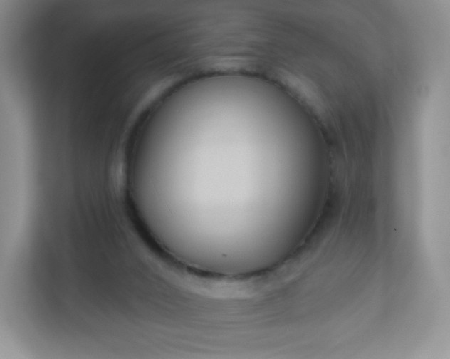 X0000110920016200906251427