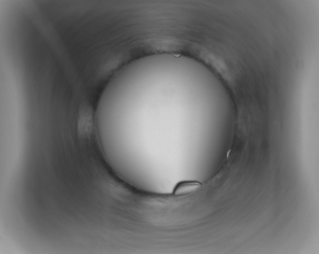 X0000110920017200906251427