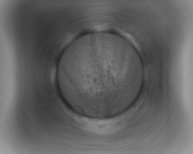 X0000110920018200906251427