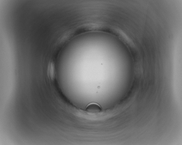 X0000110920022200906251427