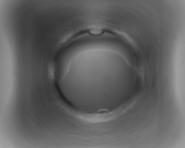 X0000110920023200906251427