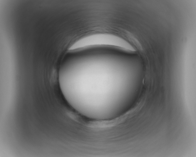 X0000110920025200906251427