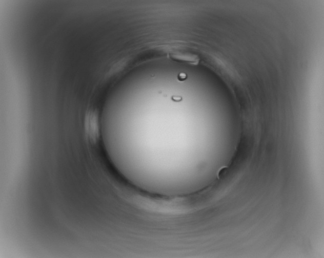 X0000110920028200906251427