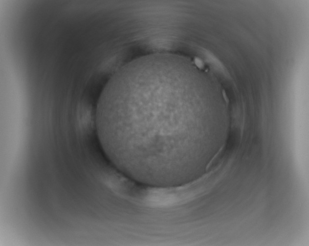 X0000110920029200906251427