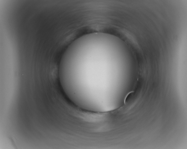 X0000110920036200906251427