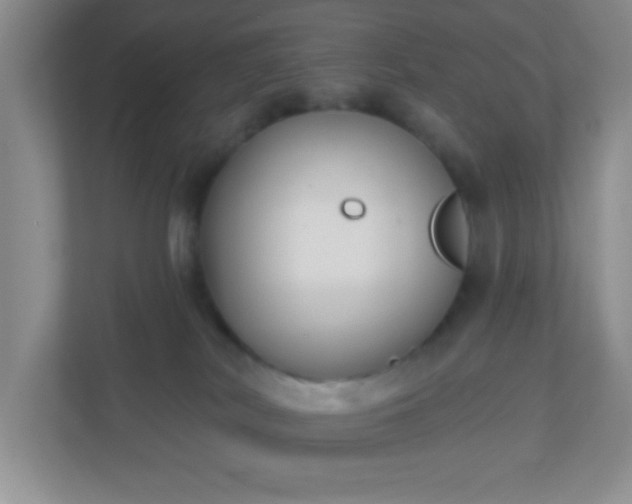 X0000110920038200906251427