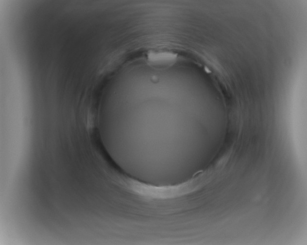 X0000110920039200906251427