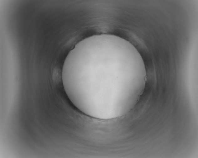 X0000110920043200906251427