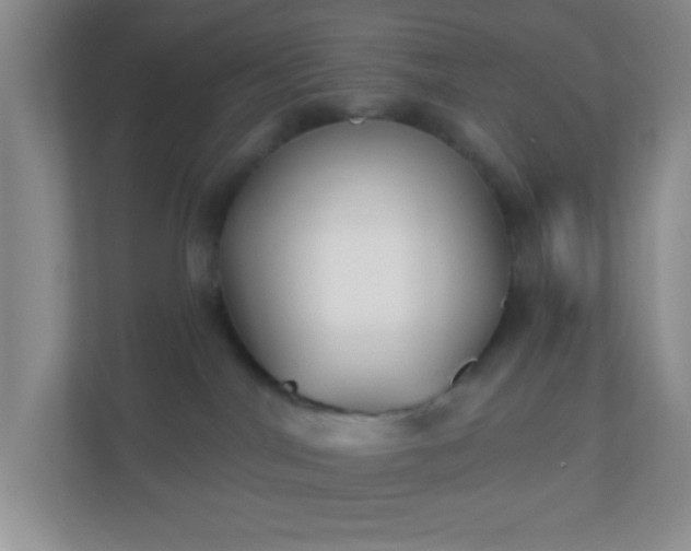 X0000110920044200906251427