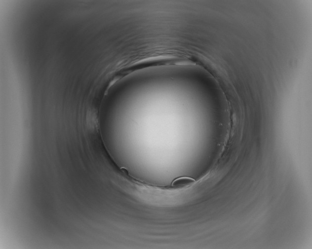 X0000110920048200906251427