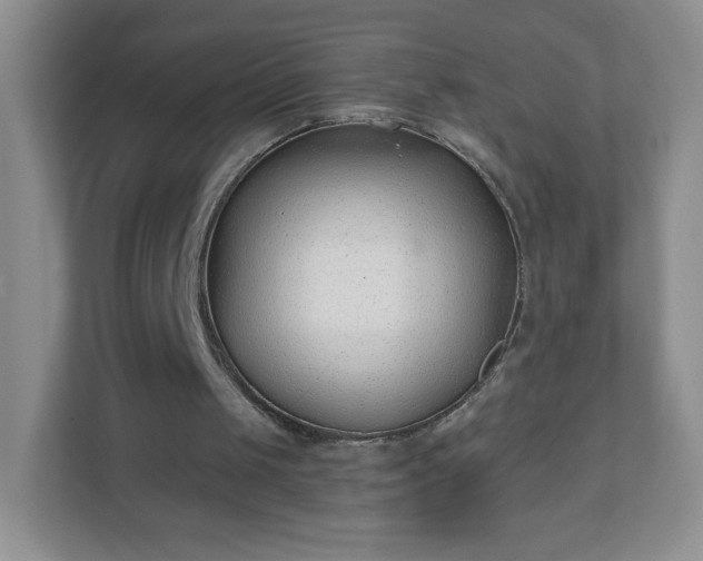 X0000110920049200906251426