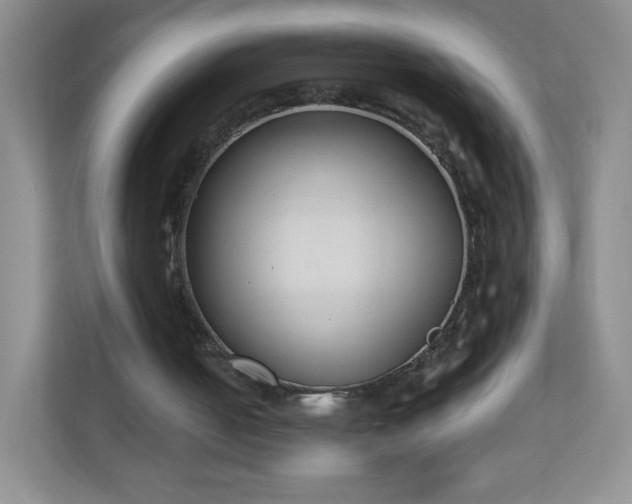 X0000110920050200906251426