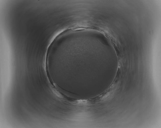 X0000110920052200906251426