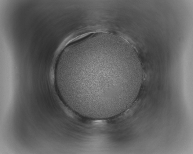 X0000110920053200906251426