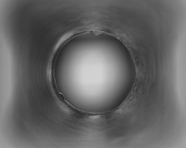 X0000110920054200906251426