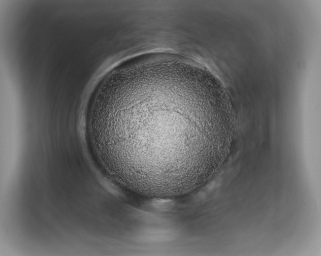 X0000110920055200906251426