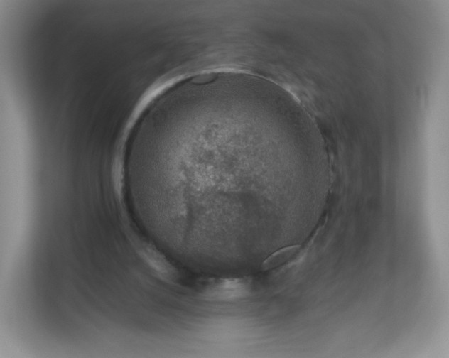 X0000110920056200906251426