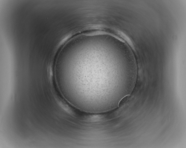 X0000110920059200906251426