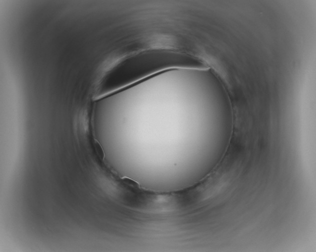 X0000110920060200906251426
