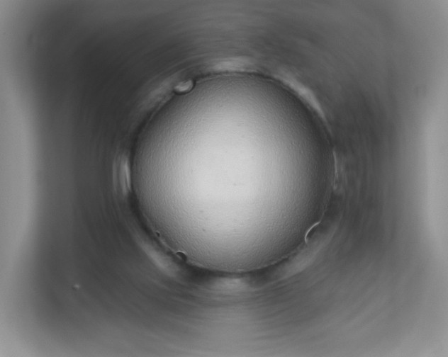 X0000110920061200906251426