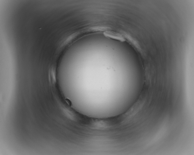 X0000110920062200906251426