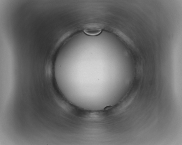 X0000110920064200906251426