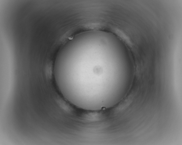 X0000110920065200906251426