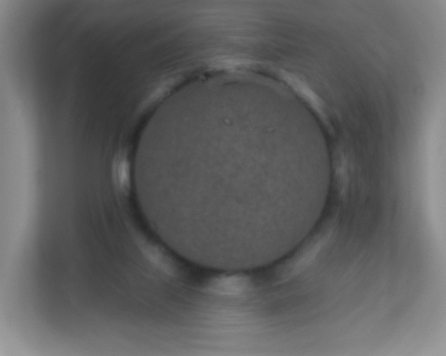 X0000110920067200906251426