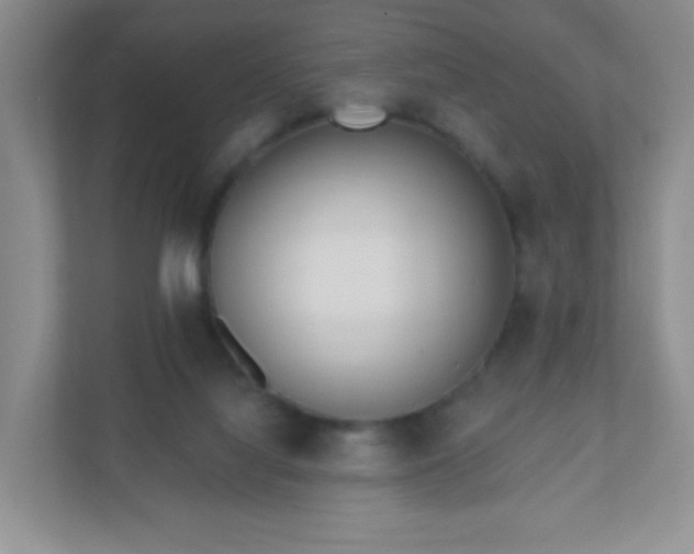 X0000110920068200906251426