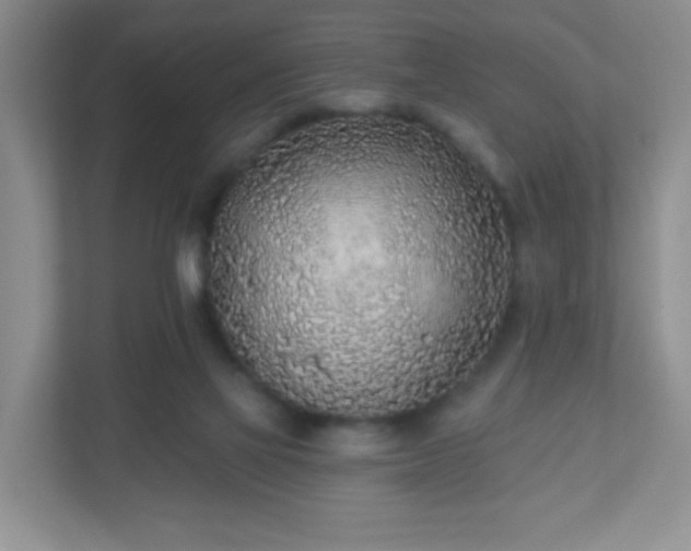 X0000110920069200906251426