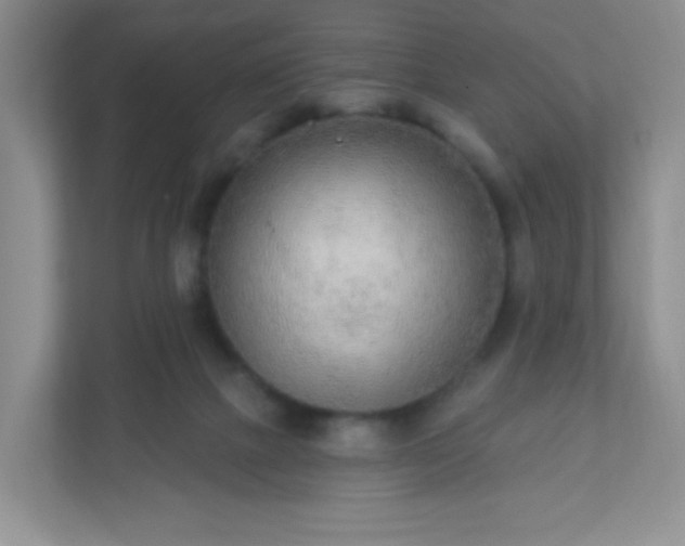 X0000110920073200906251426
