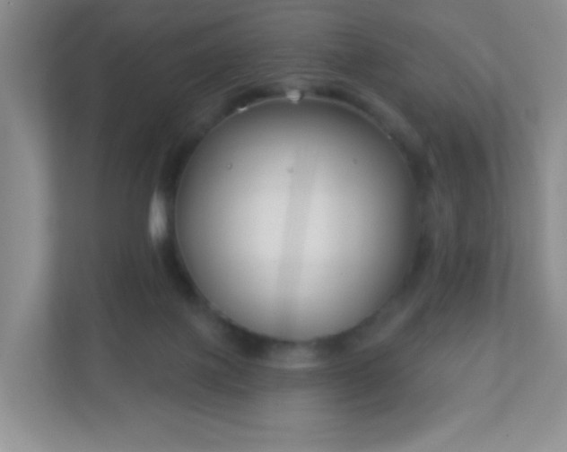 X0000110920075200906251426