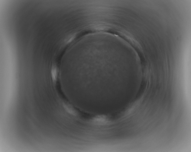 X0000110920076200906251426