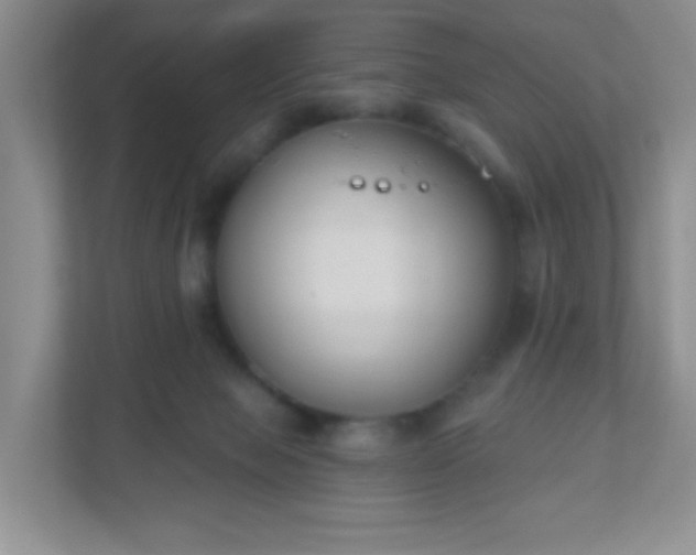 X0000110920077200906251426