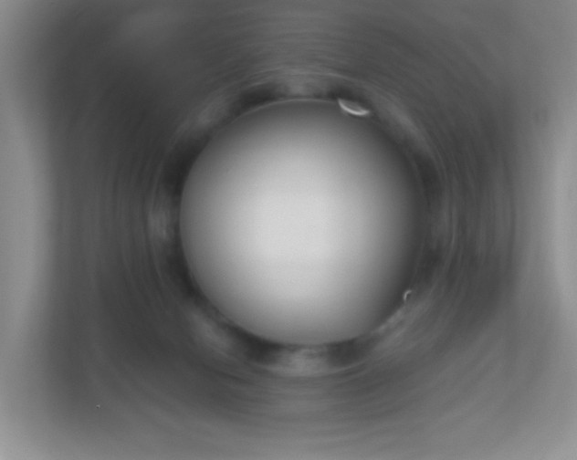 X0000110920078200906251426