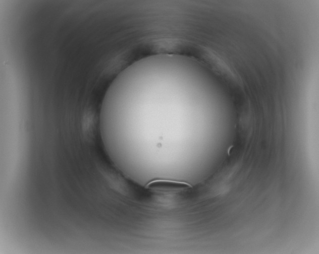 X0000110920079200906251426