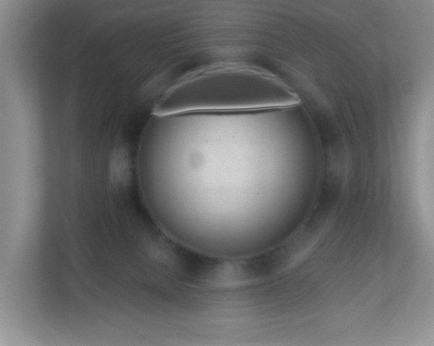 X0000110920080200906251426