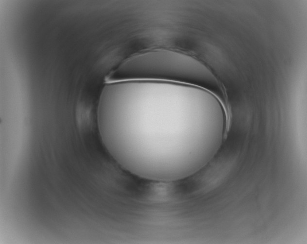 X0000110920088200906251427