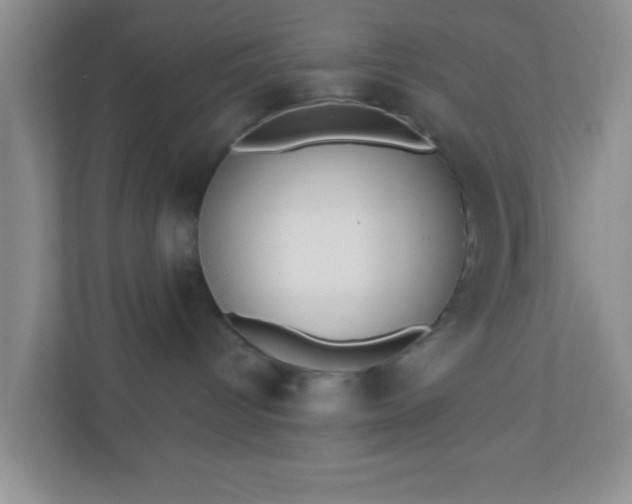 X0000110920096200906251427