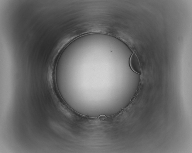 X0000110920098200906251426