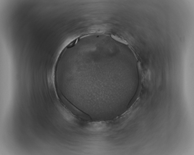 X0000110920100200906251426