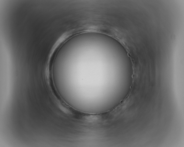 X0000110920102200906251426
