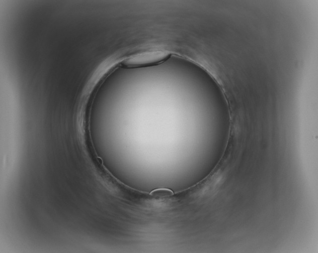 X0000110920103200906251426