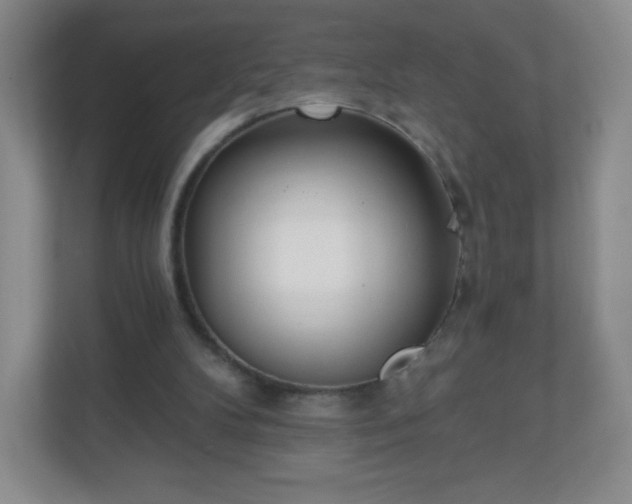 X0000110920104200906251426